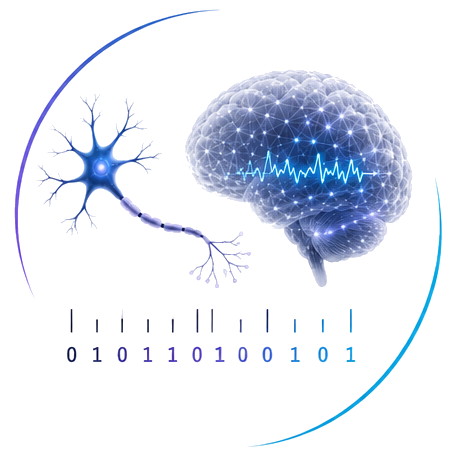 Information in the brain. Modified from an original credited to dow_at_uoregon.edu (distributed without restrictions)